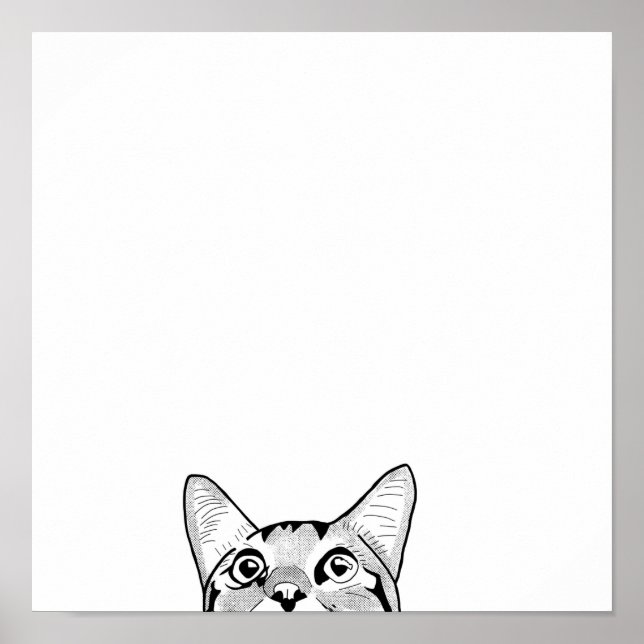 Halvkattstam i ansikte poster (Framsidan)