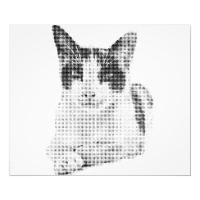 Halvton Katt Fototryck (Framsidan)