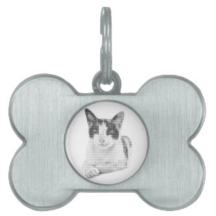 Halvton Katt ID-bricka Husdjur