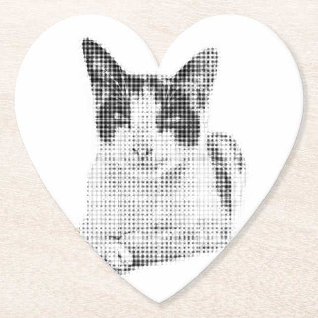 Halvton Katt Underlägg Papper (Framsida)