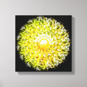 Halvvägen till Sol Brushstroke Spiral Mandala Canvastryck