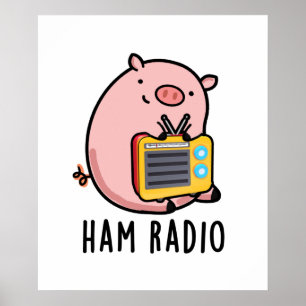 Ham Radio Funny Gris Pun Poster