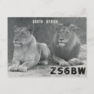 Ham Radio QSL Card South Afrika Lejon vykort