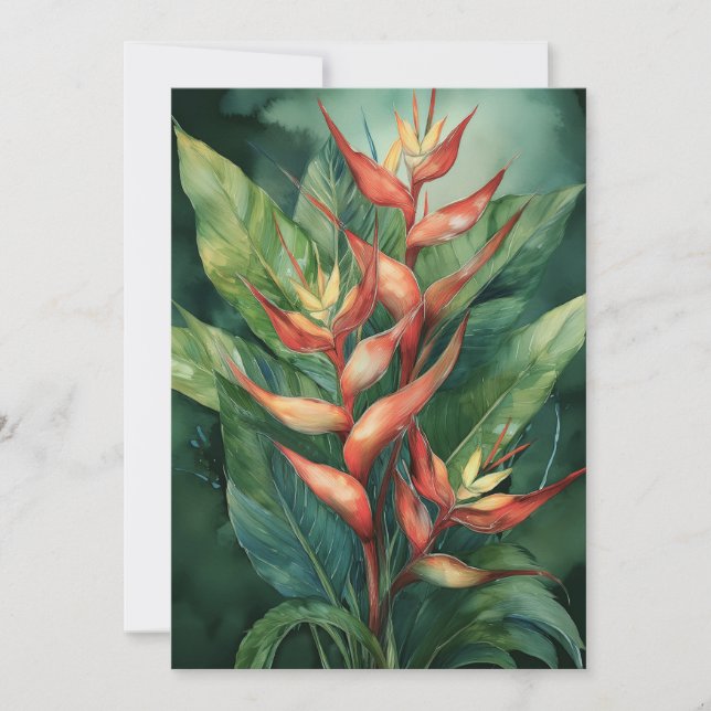 Hamakua Heliconia Julkort (Framsida)