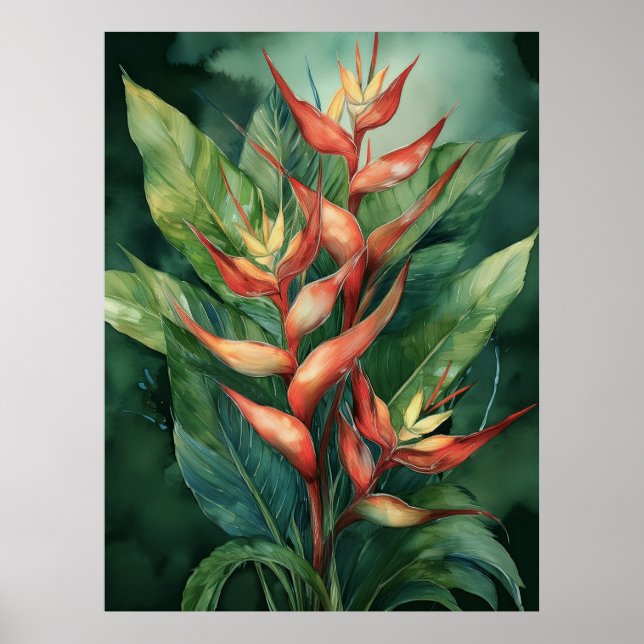 Hamakua Heliconia Poster (Framsidan)