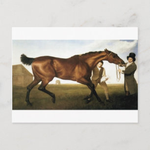 Hambletonia av George Stubbs Vykort