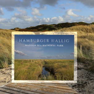 Hamburger Hallig, Vadehavet, Tyskland vykort