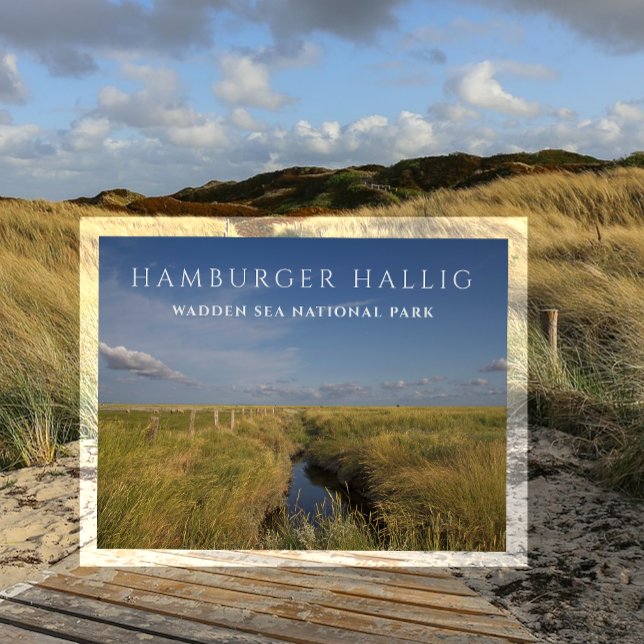 Hamburger Hallig, Vadehavet, Tyskland vykort (Skapare uppladdad)