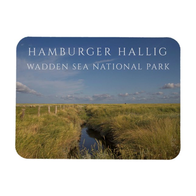 Hamburger Hallig, Wadden Sea, Tyskland Magnet (Horisontell)
