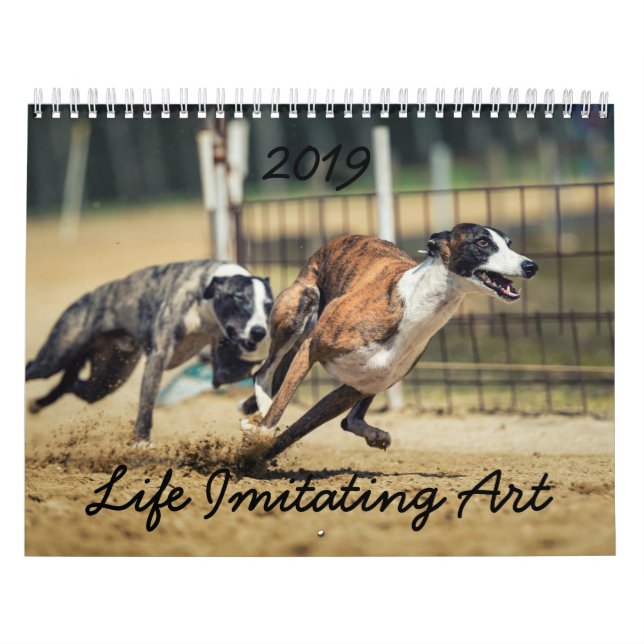 HAMbWG 2019 Livet Imitation Konsten Kalender (Omslag)