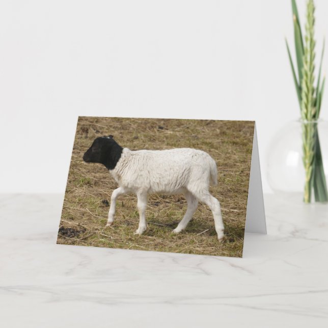 HAMbWG-gratulationskort - svartvitt Kort (Framsida)