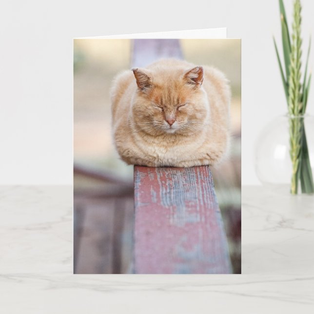 HAMbWG - Greeting Card - Katt på järnväg Kort (Framsida)