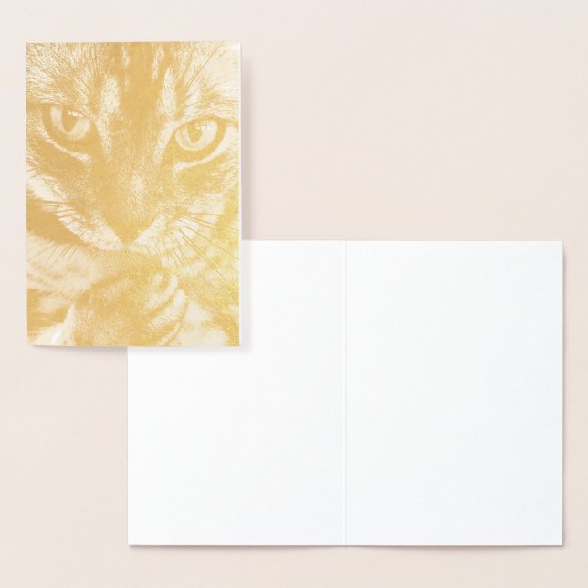 HAMbWG - Guldoljekort - Katt Folierat Kort (Display)