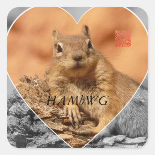 HAMbWG - Stickers - ekorns G/B HjärtLogotyp Fyrkantigt Klistermärke