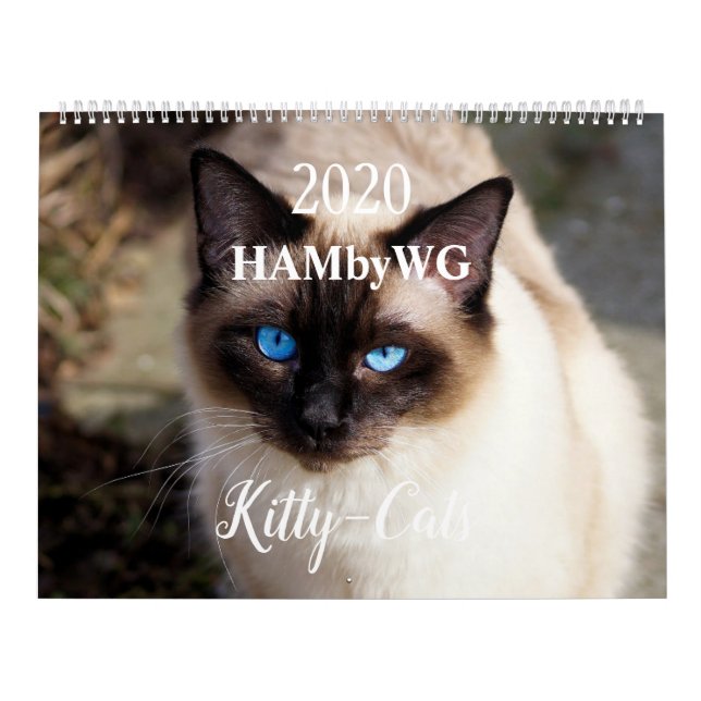 HAMbyWG 2020 Kattunge-Cats-kalender Kalender (Omslag)