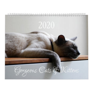 HAMbyWG - 2020 Underbara Katter Kalender