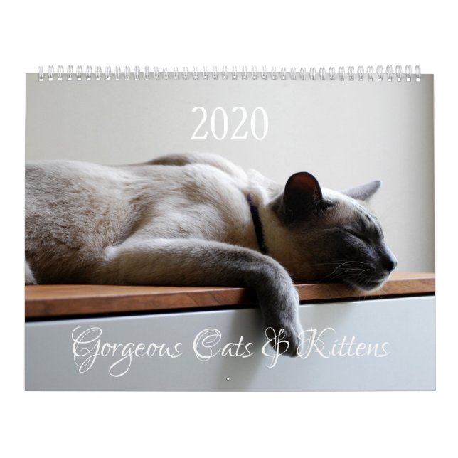 HAMbyWG - 2 020 Gorgous Cats Kalender (Omslag)