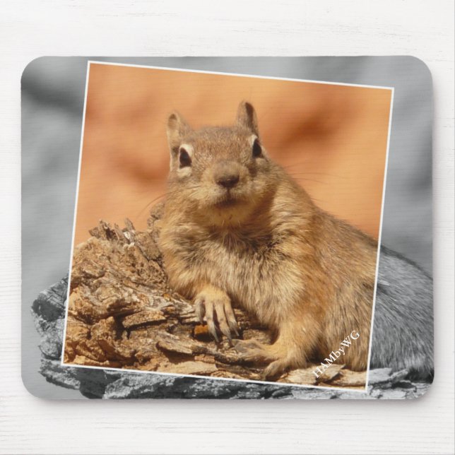 HAMbyWG - Berömd Squirrel - Mouse Pad Musmatta (Framsidan)