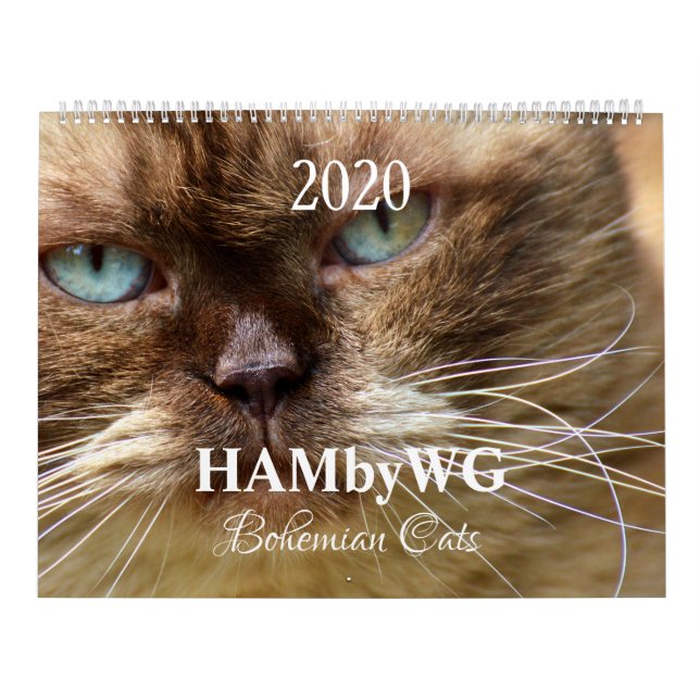 HAMbyWG - Bohemiska katter Kalender (Omslag)