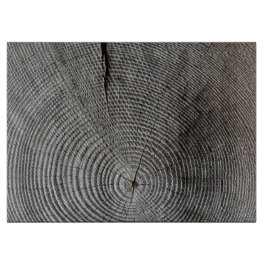 HAMbyWG - Grått Wood - Rustik skärning