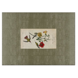 - HAMbyWG Humming Bird - Glasskärningspanel