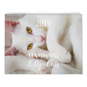 HAMbyWG Kattunge-Cats-kalender Kalender