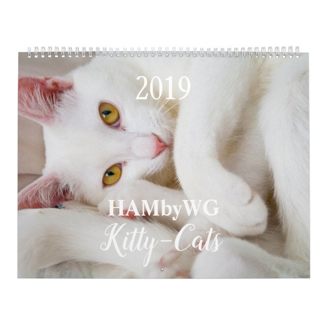 HAMbyWG Kattunge-Cats-kalender Kalender (Omslag)