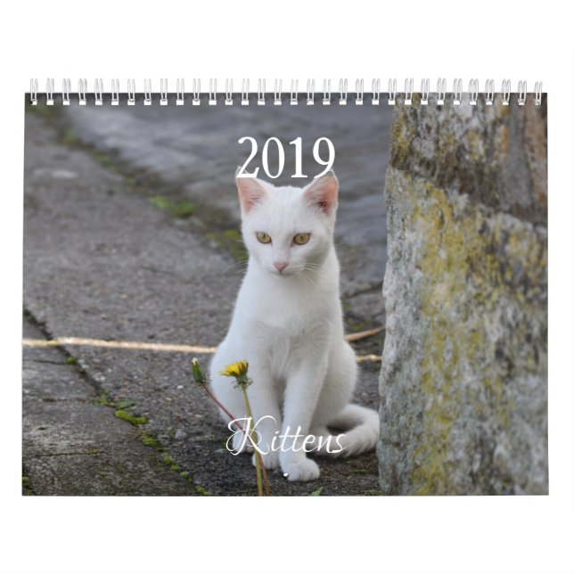 HAMbyWG Kitten Kalender (Omslag)