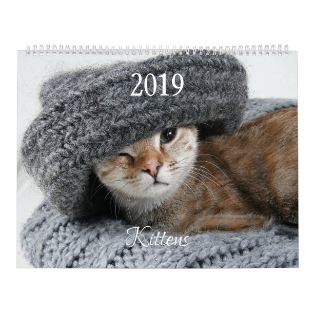 HAMbyWG Kitten Kalender (Omslag)