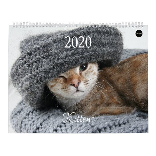 HAMbyWG Kittens Kalender (Omslag)