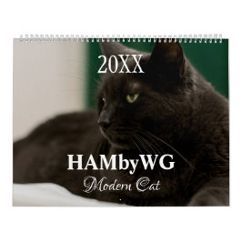 HAMbyWG Modern Cats Calendar Kalender