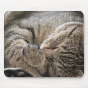 HAMbyWG - Mouse Pad - Cuddling Kitten Musmatta