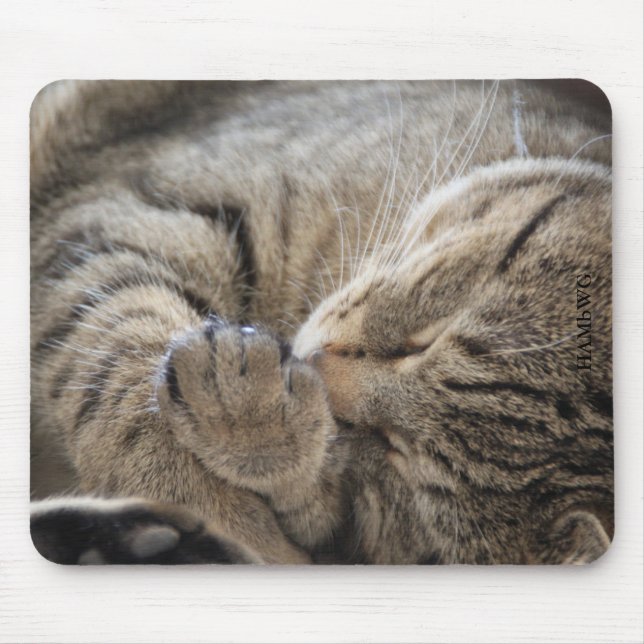HAMbyWG - Mouse Pad - Cuddling Kitten Musmatta (Framsidan)