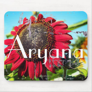 HAMbyWG - Mouse Pad - Red Solros Musmatta