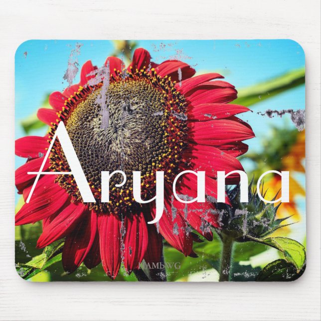 HAMbyWG - Mouse Pad - Red Solros Musmatta (Framsidan)