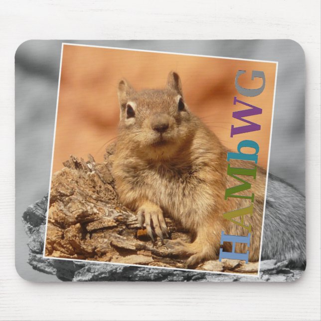 HAMbyWG - Mus Pad - Berömd Squirrel Musmatta (Framsidan)