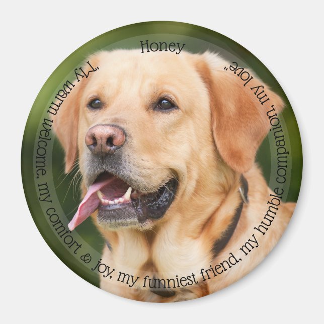 HAMbyWG Pet Magnet (Framsidan)