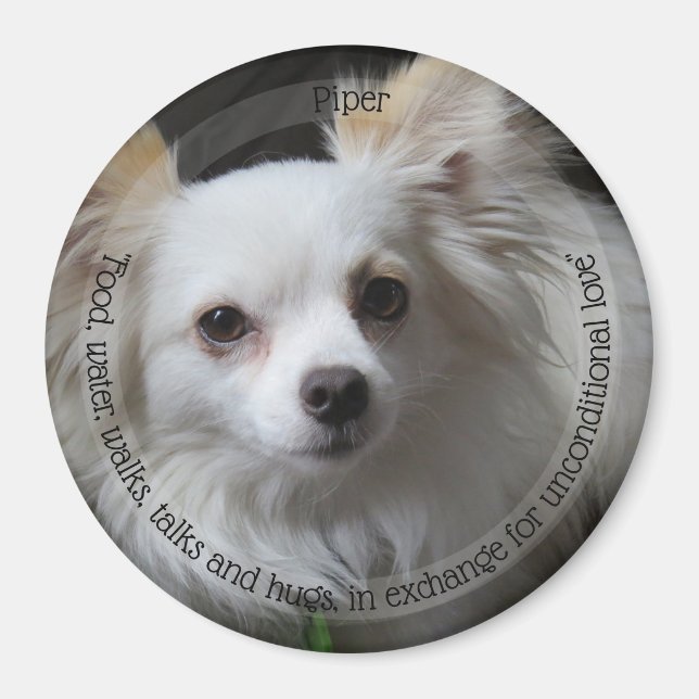 HAMbyWG Pet Magnet (Framsidan)