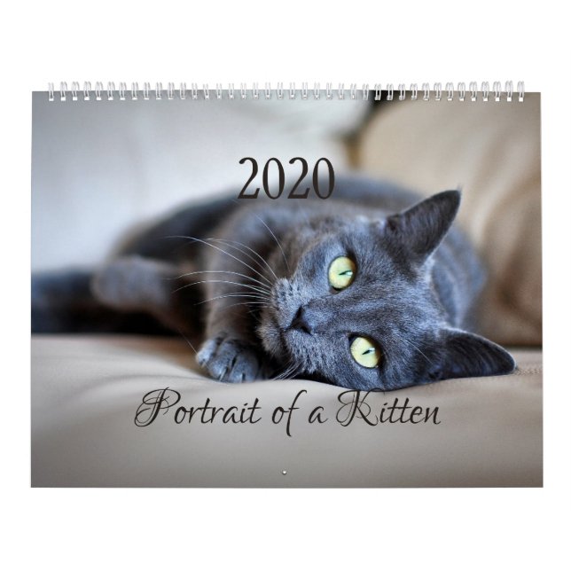 HAMbyWG - Porträtt av en kattunge Kalender (Omslag)
