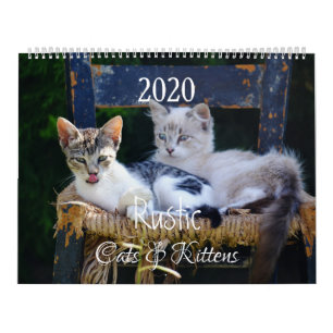 HAMbyWG- Rustika katter & kattungar Kalender