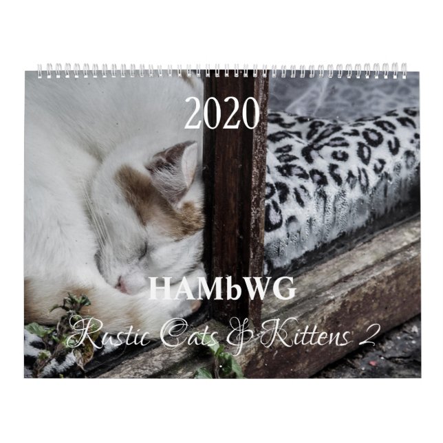 HAMbyWG - Rustika katter och kattungar 2 Kalender (Omslag)