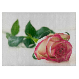 - HAMbyWG - Single Ro - CEG Board