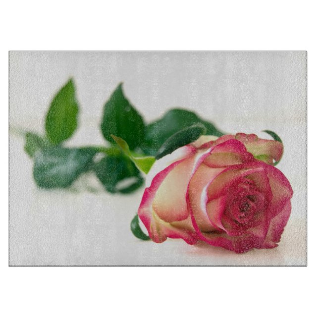 - HAMbyWG - Single Ro - CEG Board (Framsidan)