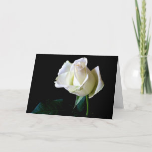 HAMbyWhiteGlove - Greeting Card - Single Ro Kort