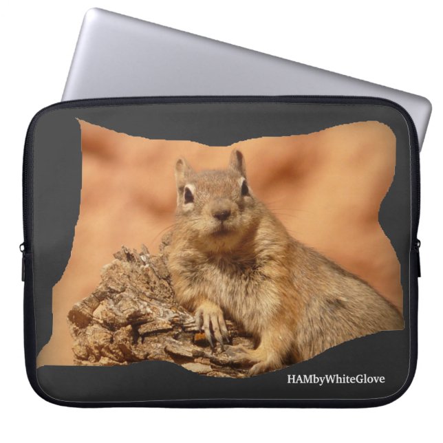 HAMbyWhiteGlove Squirrel - Bärbar dators fodral (Framsidan)