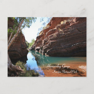 Hamersley Gorge, Karijinis nationalpark - vykort