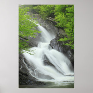 Hamilton Falls Grönt Mountains Vermont Poster