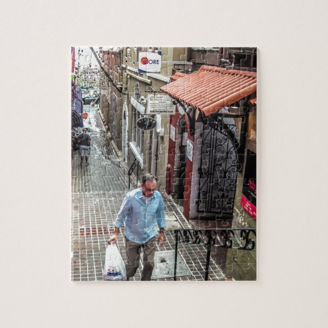 Hamilton tillbaka St Pussel (Vertikal)