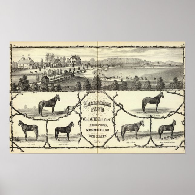 Hamiltonian Farm i Middletown, NJ Poster (Framsidan)