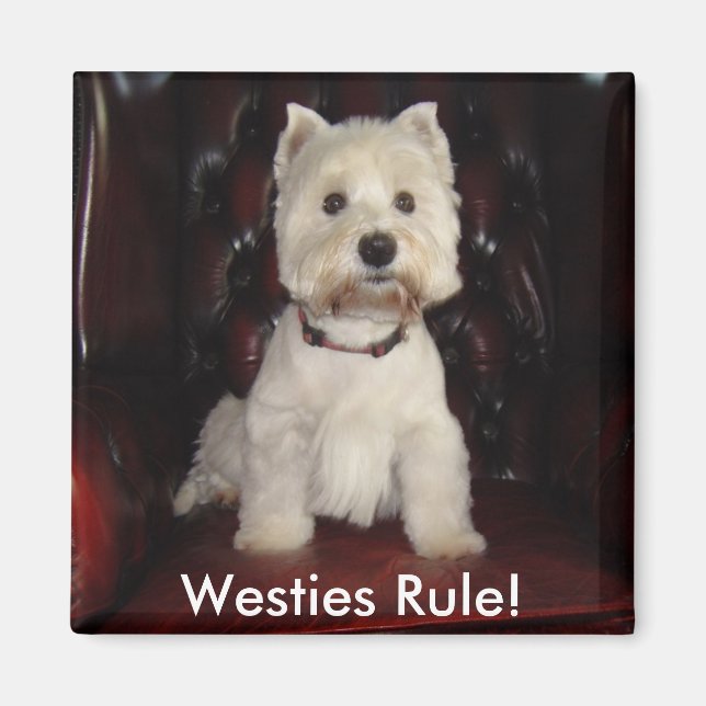 Hamish McTavish Westies Rule Fridge Magnet (Framsidan)